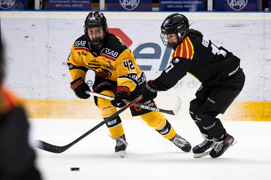 Luleås Viivi Vainikka och Brynäs Jaycee Gebhard