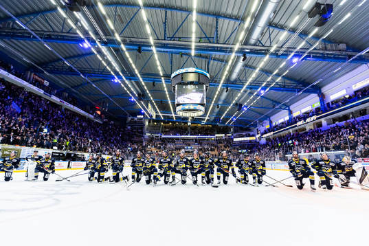 HV71 jublar