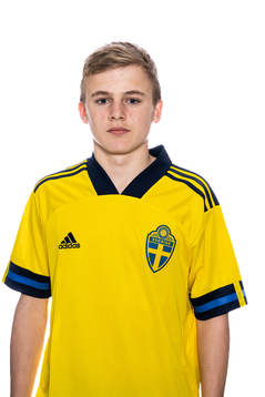 Elias Petrini