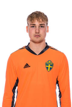 Viktor Hållén