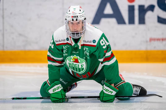 Rögles Adam Tambellini