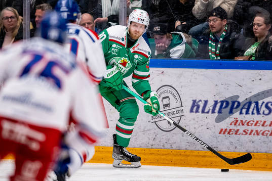 Rögles Ted Brithén