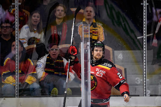Luleås Brendan Shinnimin i utvisningsbåset