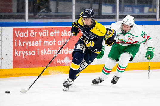 s Alexander Suzdalev och Rögles Axel Smeds