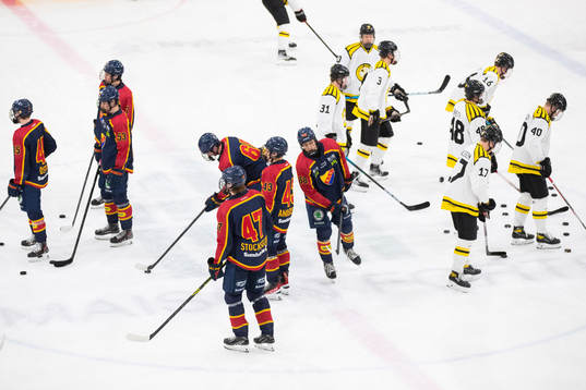 Brynäs och Djurgårdens spelare värmer upp