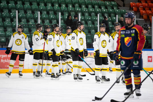 Brynäs spelare