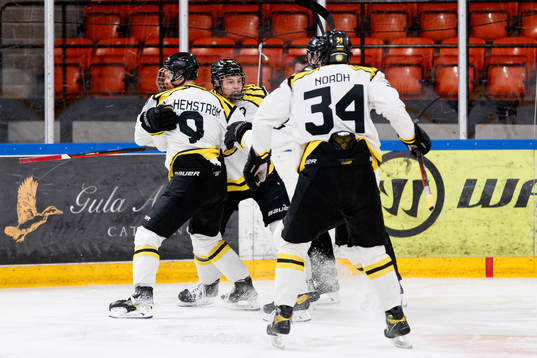 Brynäs Linus Hemström jublar