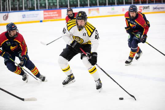 Brynäs Anton Ohlsson