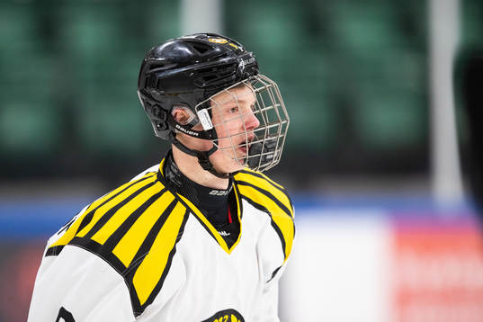 Brynäs Linus Hemström