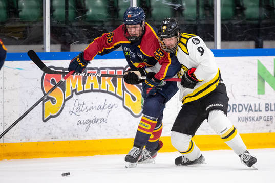 Djurgårdens Sebastian Lillsund och Brynäs Linus Hemström