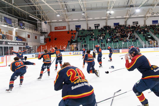 Djurgårdens spelare jublar