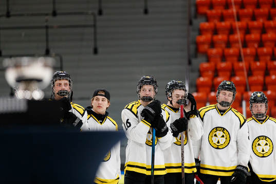Brynäs spelare deppar