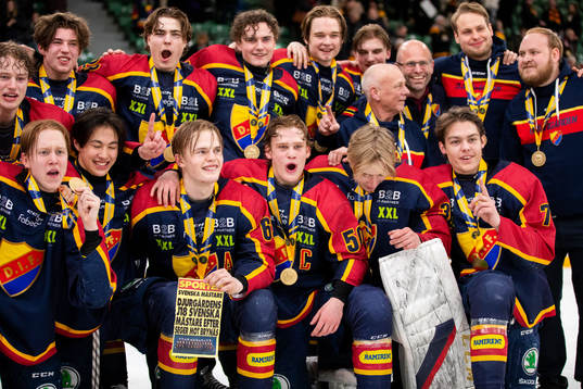 Djurgårdens spelare jublar
