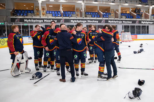 Djurgårdens spelare jublar