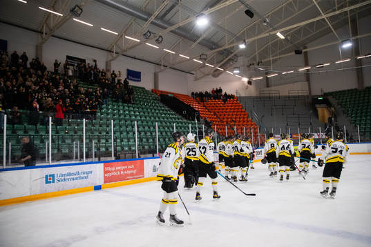 Brynäs spelare deppar