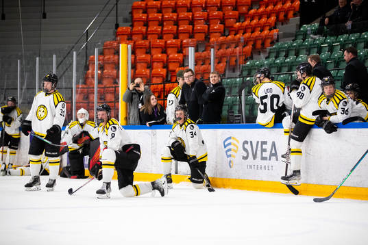 Brynäs spelare deppar