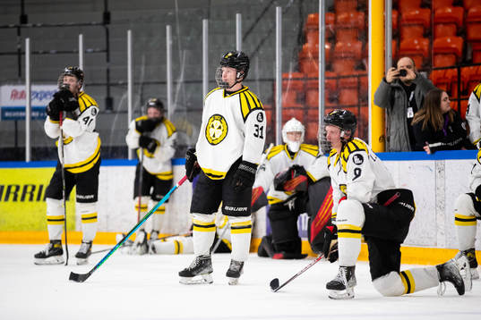 Brynäs spelare deppar