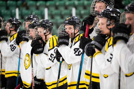 Brynäs Viktor Eriksson deppar