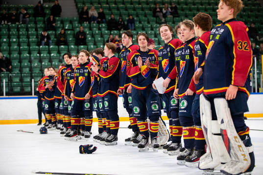 Djurgårdens spelare