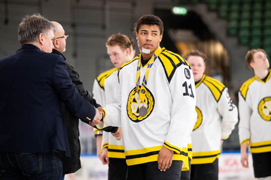 Brynäs Alieu Moldal Bahd deppar
