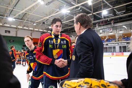Djurgårdens Vilmer Alriksson