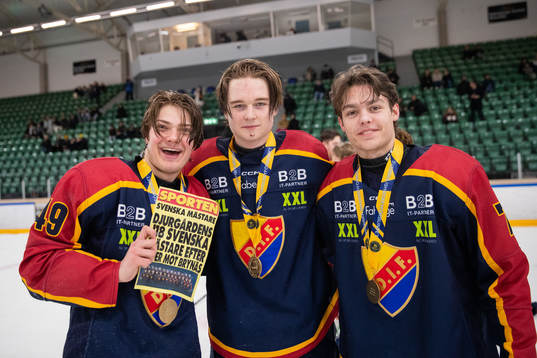 Djurgårdens Anton Petrini, Lucas Stockselius och Tim