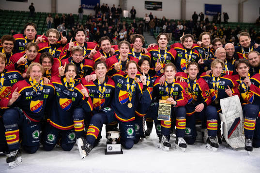 Djurgårdens spelare jublar