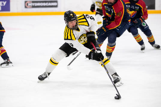 Brynäs Linus Hemström