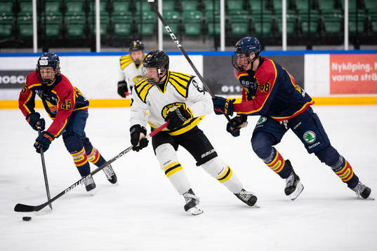 Brynäs Linus Hemström
