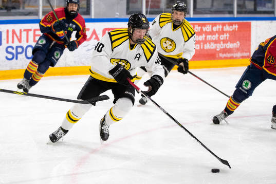 Brynäs Anton Ohlsson