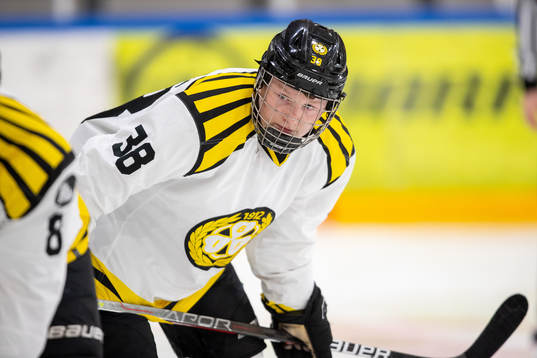 Brynäs Felix Jansson