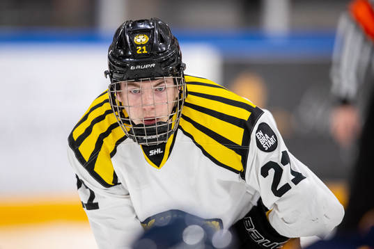 Brynäs Linus Molin