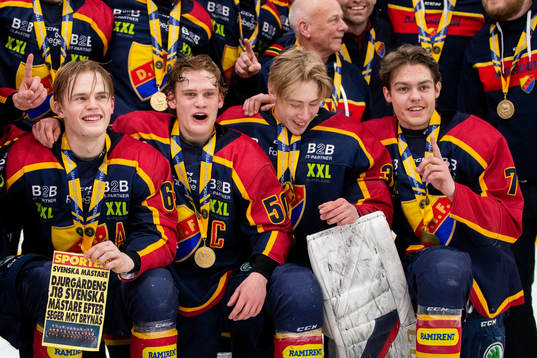 Djurgårdens spelare jublar