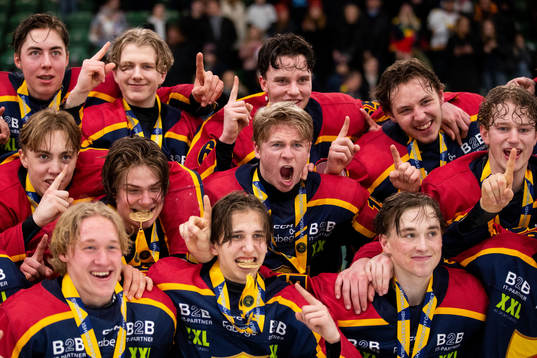 Djurgårdens spelare jublar