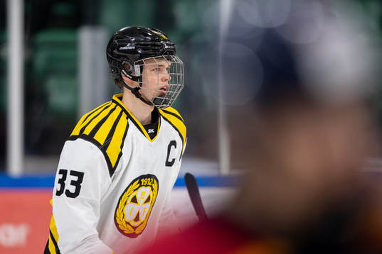 Brynäs Carl Sandström