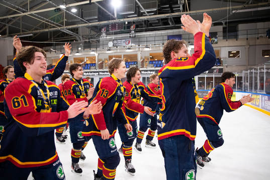 Djurgårdens spelare jublar