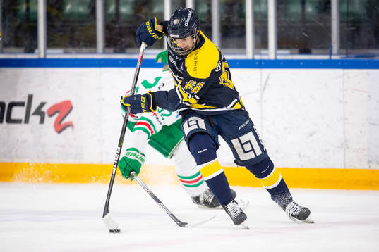 s Alexander Suzdalev