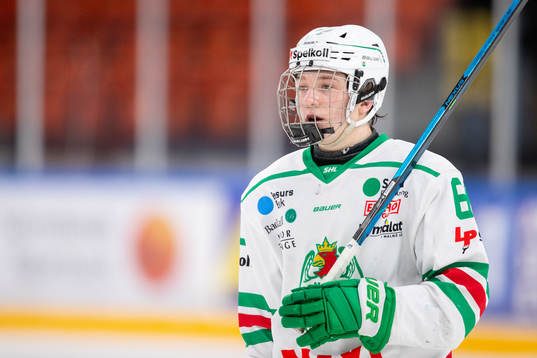 Rögles Viktor Smeds