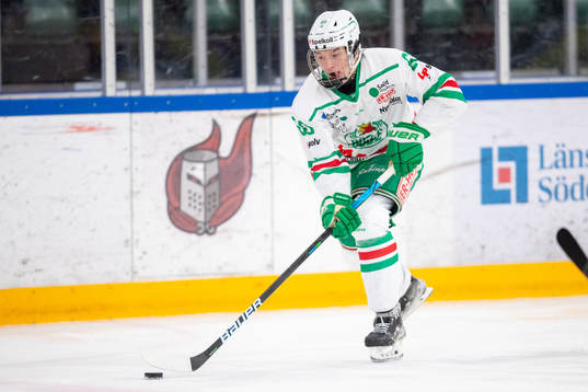 Rögles Viktor Smeds