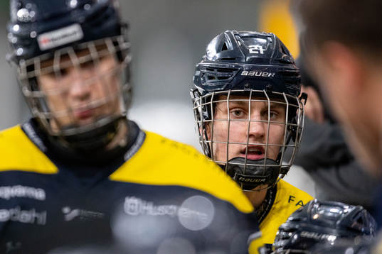 s Erik Påhlsson