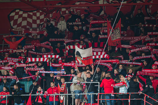 Spectators in the stands