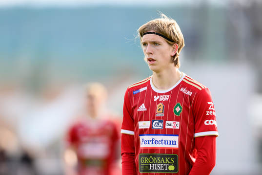 Skövdes David Frisk