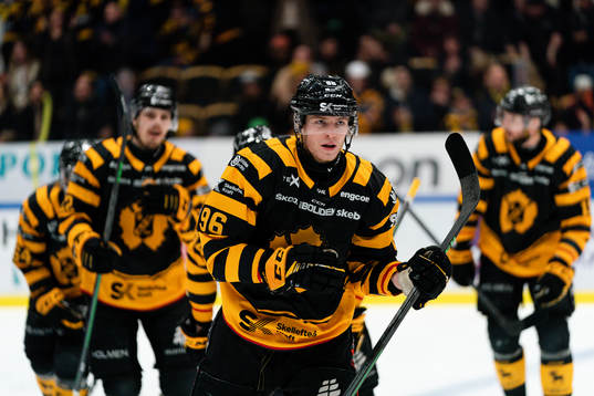 Skellefteås Rickard Hugg jublar