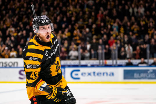 Bläddra bland fler bilder av Ishockey, SHL, Kvartsfinal 5, Skellefteå - Färjestad