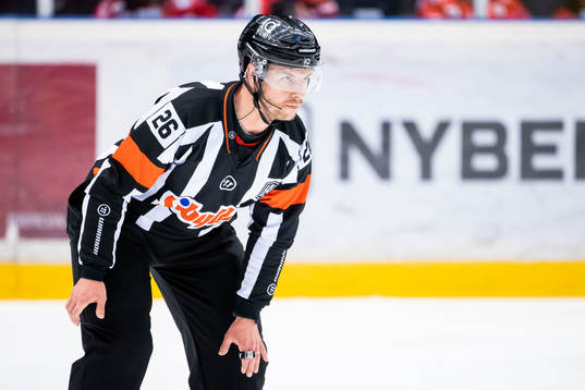 Domare André Hiljanen