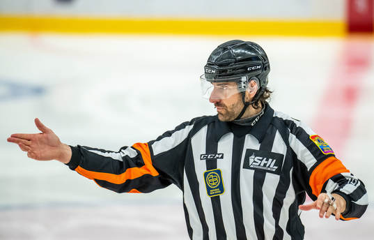 Domare Mikael Sjöqvist