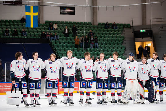 Linköpings spelare