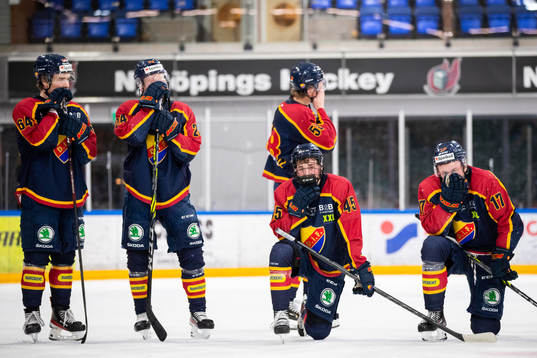 Djurgårdens spelare deppar