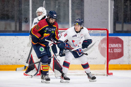 Djurgårdens Liam Öhgren och Linköpings Jonathan Myrenberg