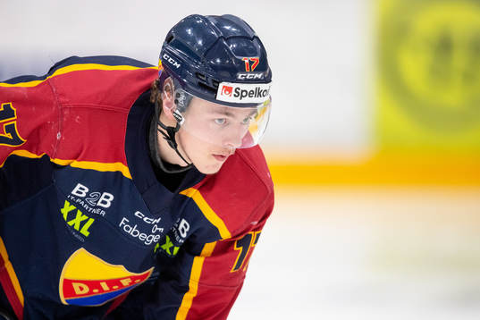 Djurgårdens Ludvig Stridh